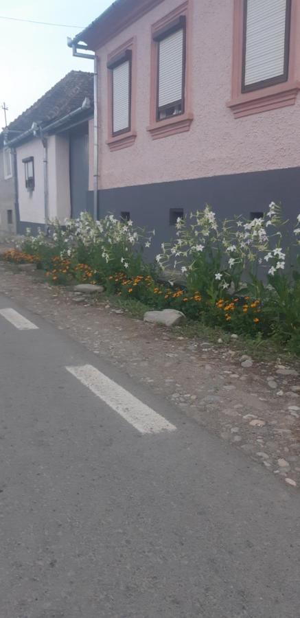 Casa Maior Villa Sacel  Bagian luar foto