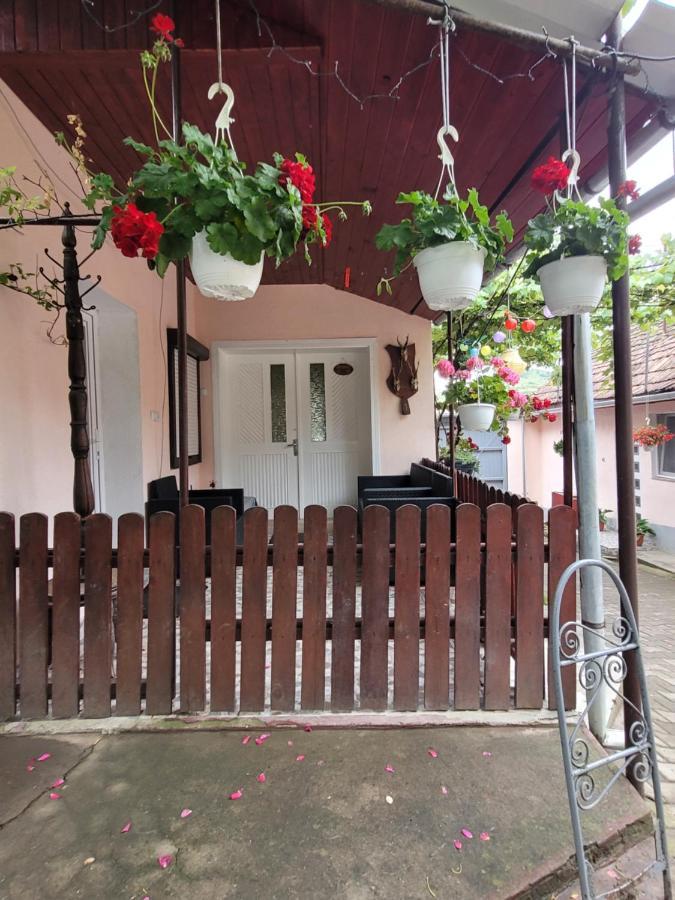 Casa Maior Villa Sacel  Bagian luar foto
